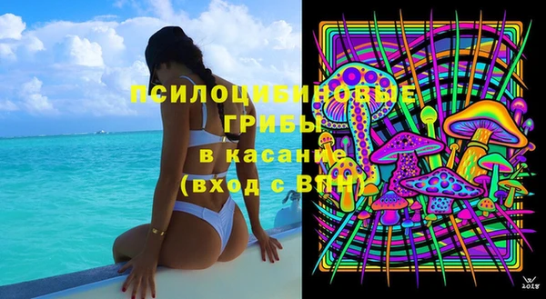 Альфа ПВП Бородино