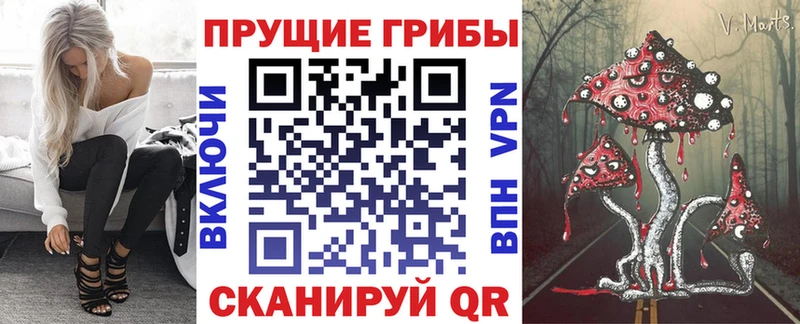 Псилоцибиновые грибы прущие грибы Мариинский Посад